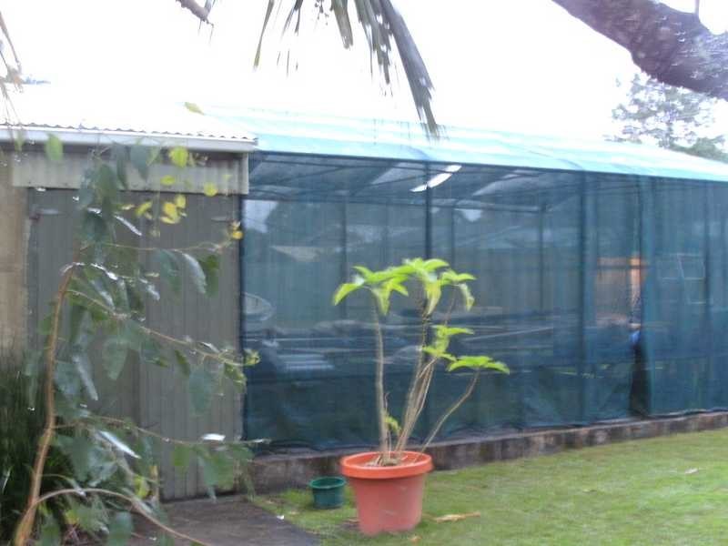 Woombah NSW 2469