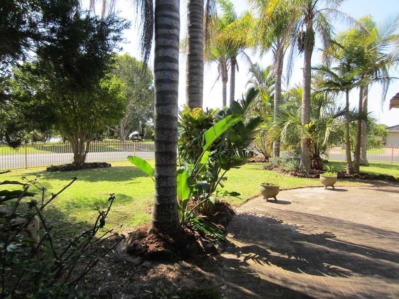 31 Acacia Circuit, Yamba NSW 2464
