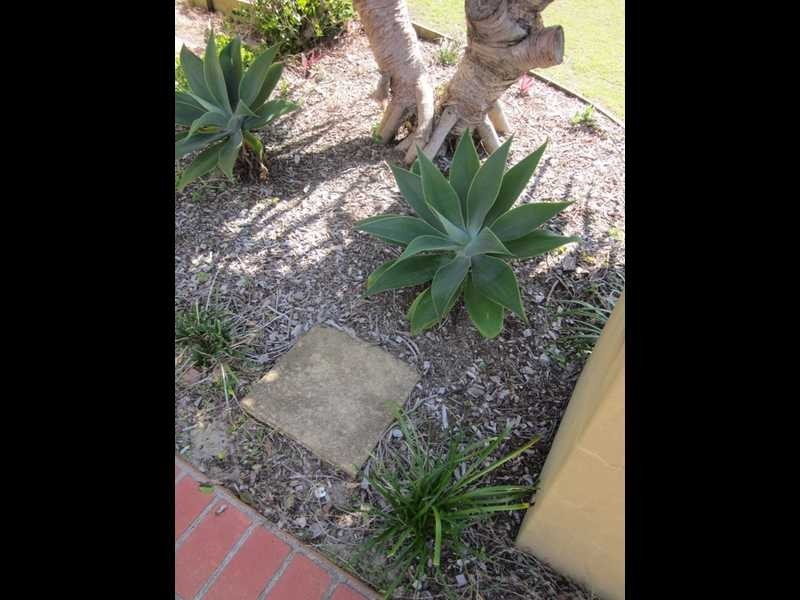 23 Oceania Court, Yamba NSW 2464