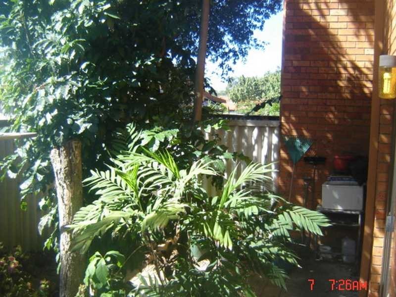 Unit 3/6 Angourie Street, Iluka NSW 2466