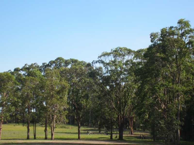 2 Potaroo Place, Townsend NSW 2463