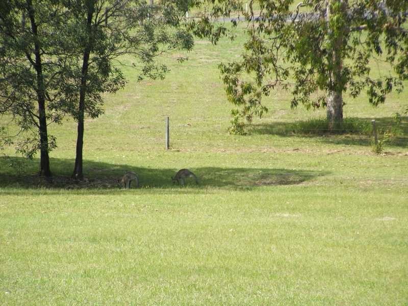 Lot 11 Pandana Close, Lawrence NSW 2460