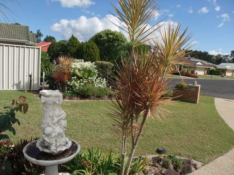 Yamba NSW 2464