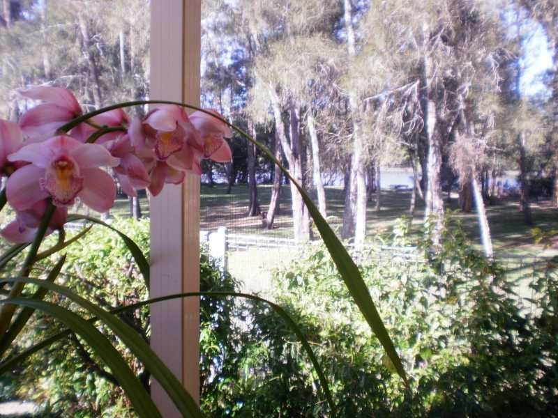 Yamba NSW 2464