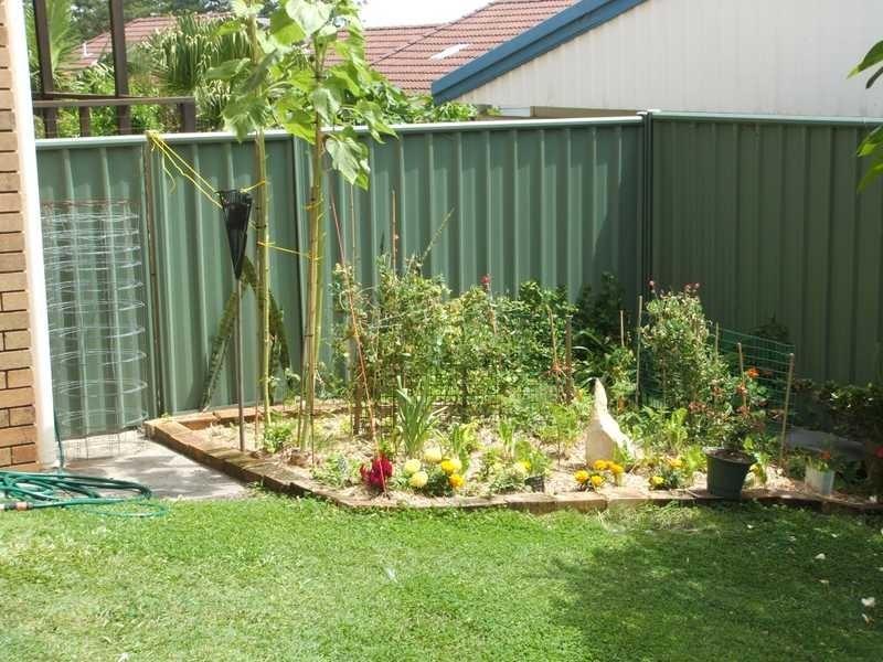 Yamba NSW 2464