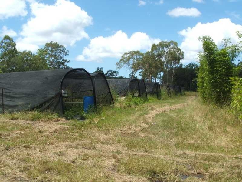 Lot/1063 Tullymorgan Road, Ashby NSW 2463