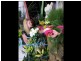 Rosehip 23 Coldstream Street, Yamba NSW 2464