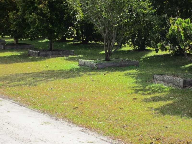27 Sapote Street, James Creek NSW 2463