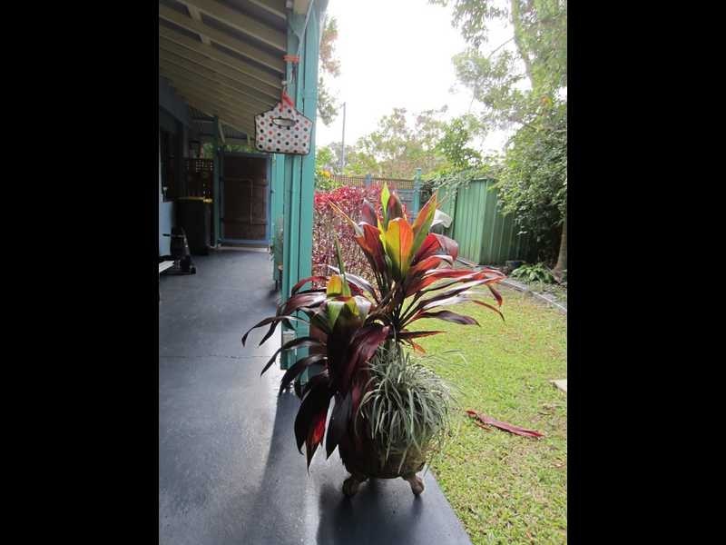 4 Endeavour Street, Yamba NSW 2464