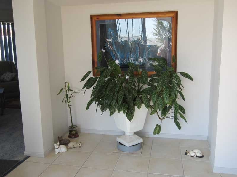 28 Treelands Drive, Yamba NSW 2464