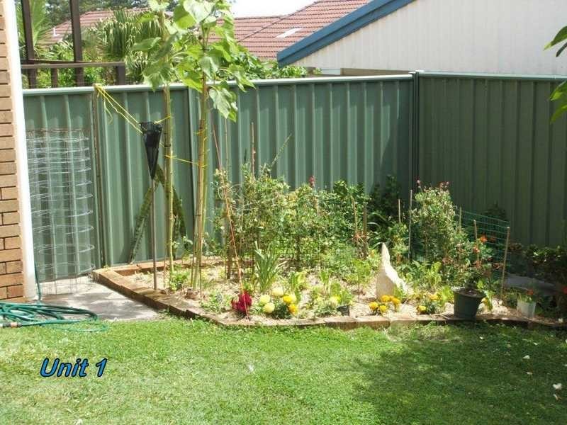 Yamba NSW 2464