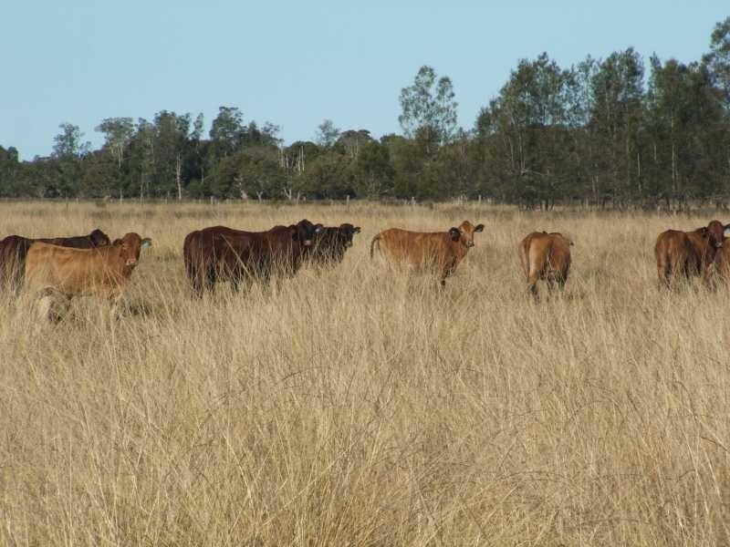 35 Dwyers Road, Palmers Island NSW 2463
