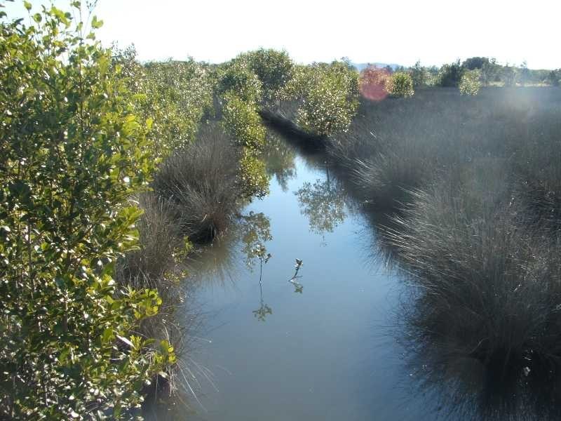 35 Dwyers Road, Palmers Island NSW 2463