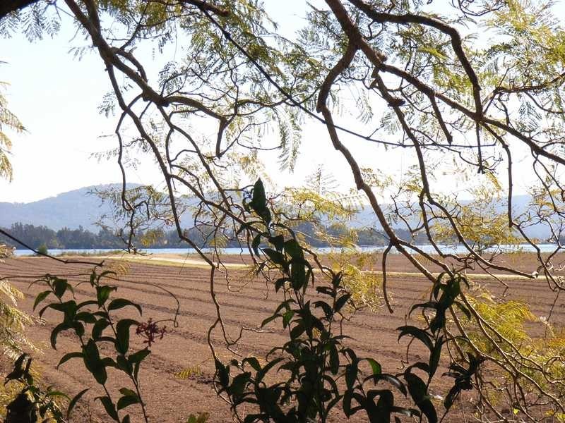 65 Durringtons Lane, Palmers Island NSW 2463