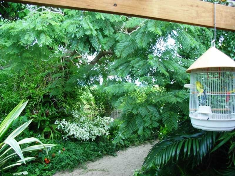 65 Durringtons Lane, Palmers Island NSW 2463