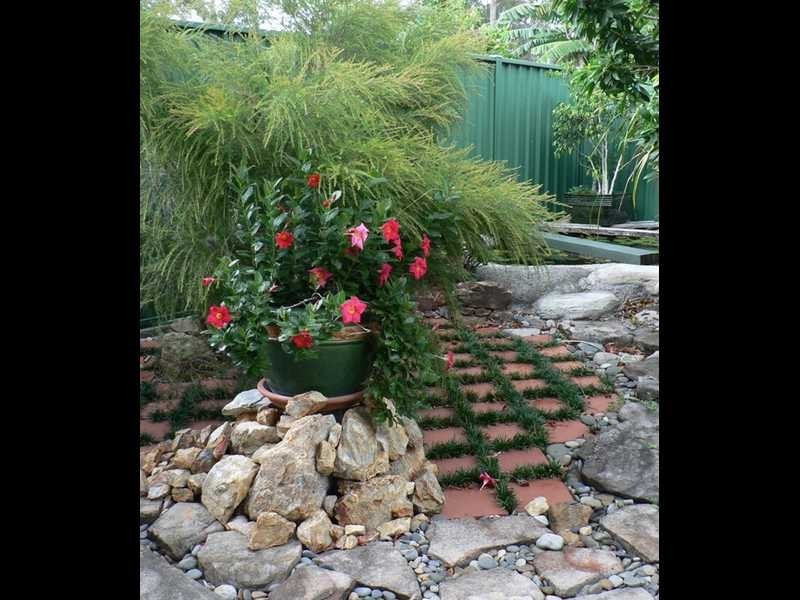 Wooloweyah NSW 2464