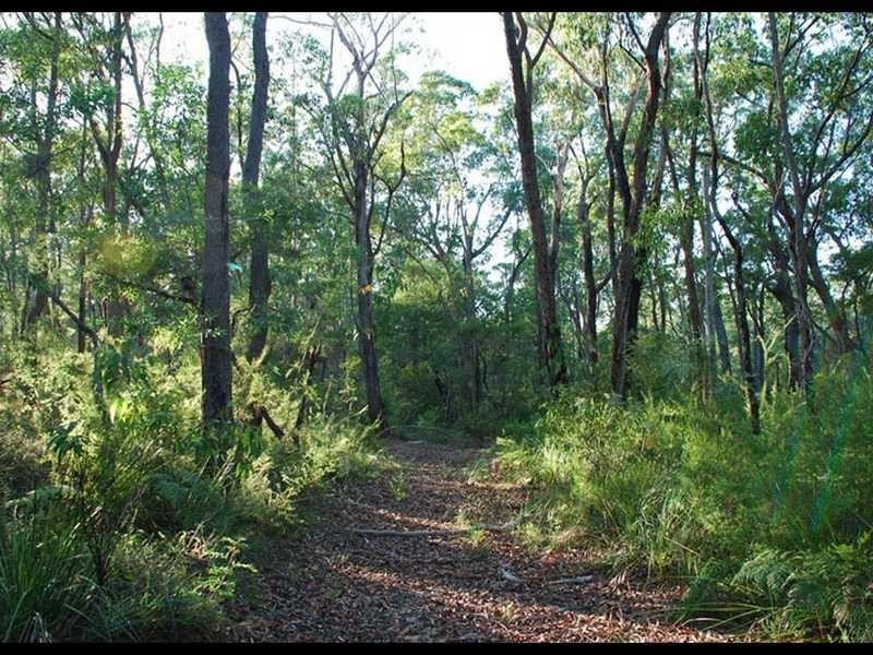 Ashby NSW 2463