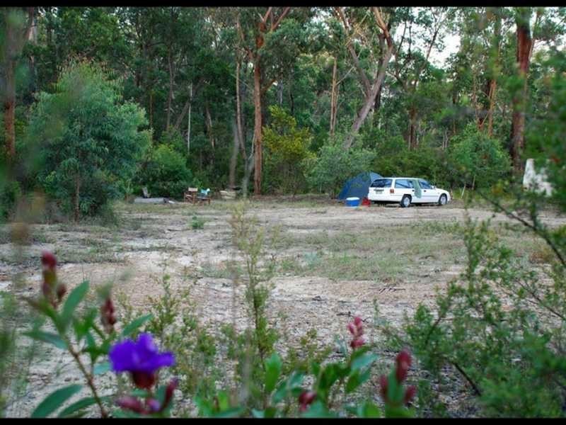 Ashby NSW 2463