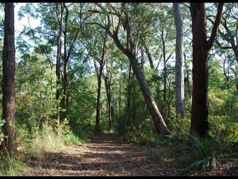 Ashby NSW 2463