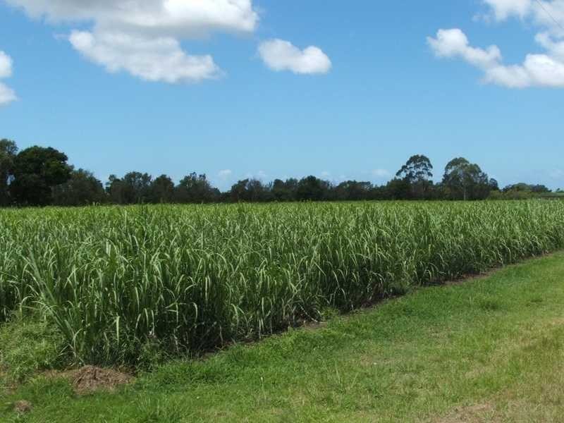 Palmers Channel NSW 2463