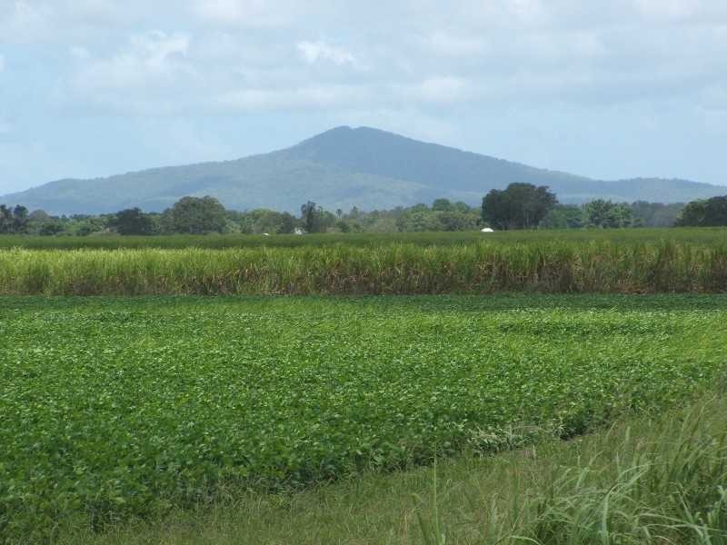 Palmers Channel NSW 2463