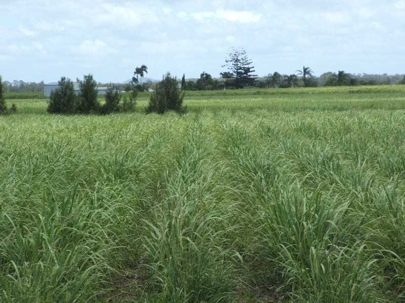 Palmers Channel NSW 2463