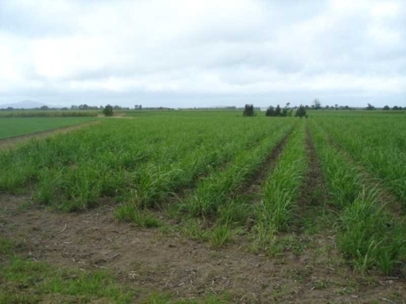 Palmers Channel NSW 2463