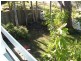 Wooloweyah NSW 2464