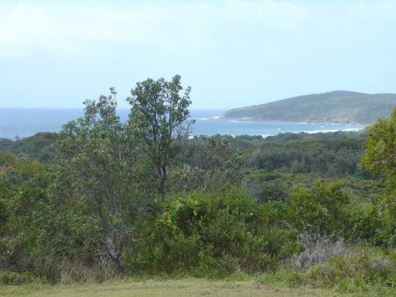 Unit 1 & 2/31 Pacific Street, Angourie NSW 2464