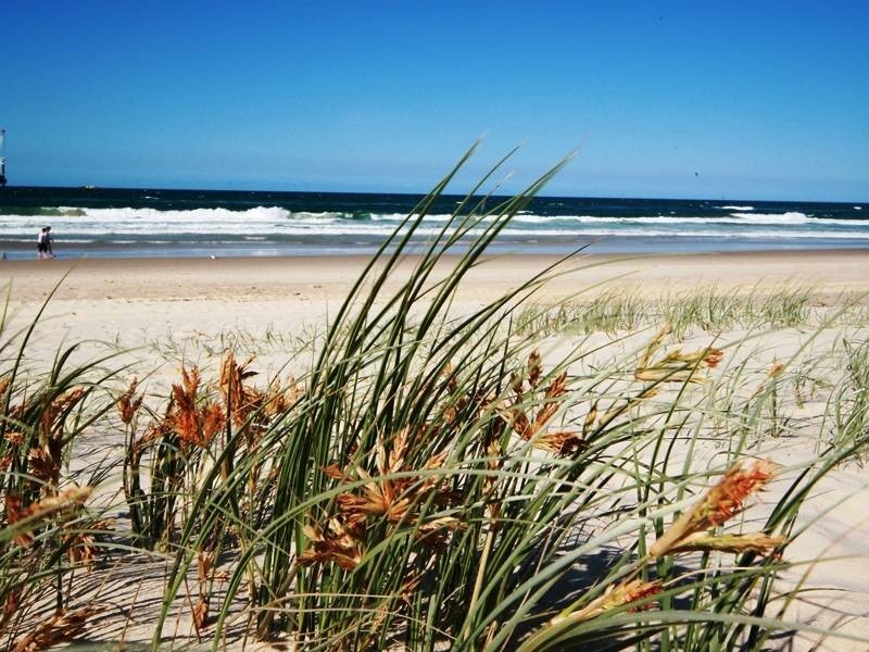 Tugun QLD 4224