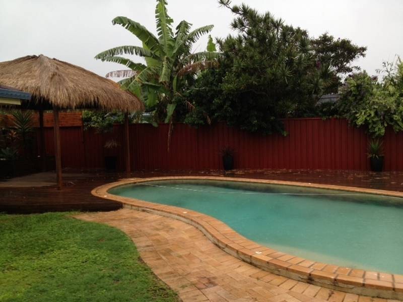 17 Walnut Street, Elanora QLD 4221