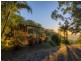 97 Hammond Drive, Clothiers Creek NSW 2484