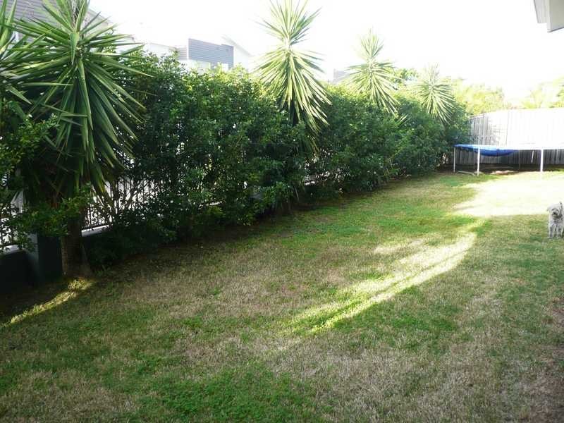 6 Menton Avenue, Varsity Lakes QLD 4227