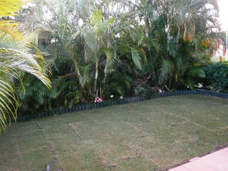 14 Avocet Avenue, Burleigh Waters QLD 4220