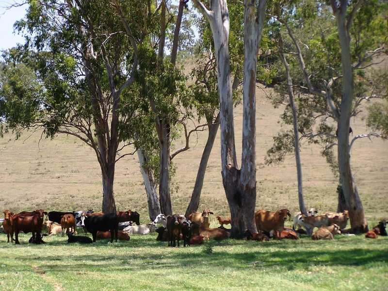 60 Ward Road, Beaudesert QLD 4285