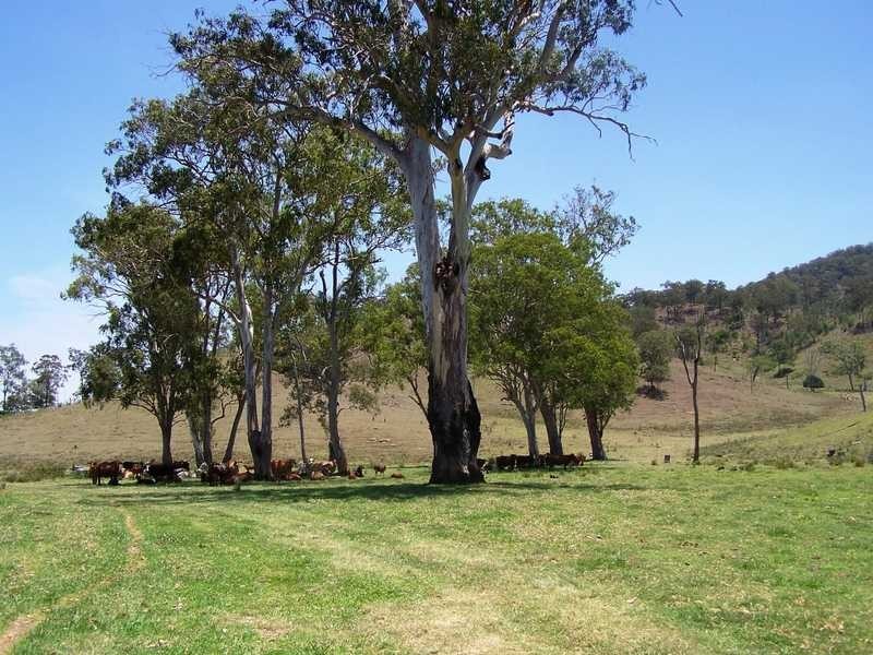 60 Ward Road, Beaudesert QLD 4285