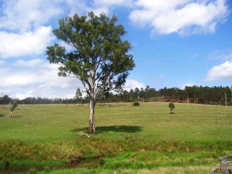 662 Round Mountain Road, Josephville QLD 4285