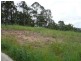 17 Currawong Crescent, Upper Coomera QLD 4209