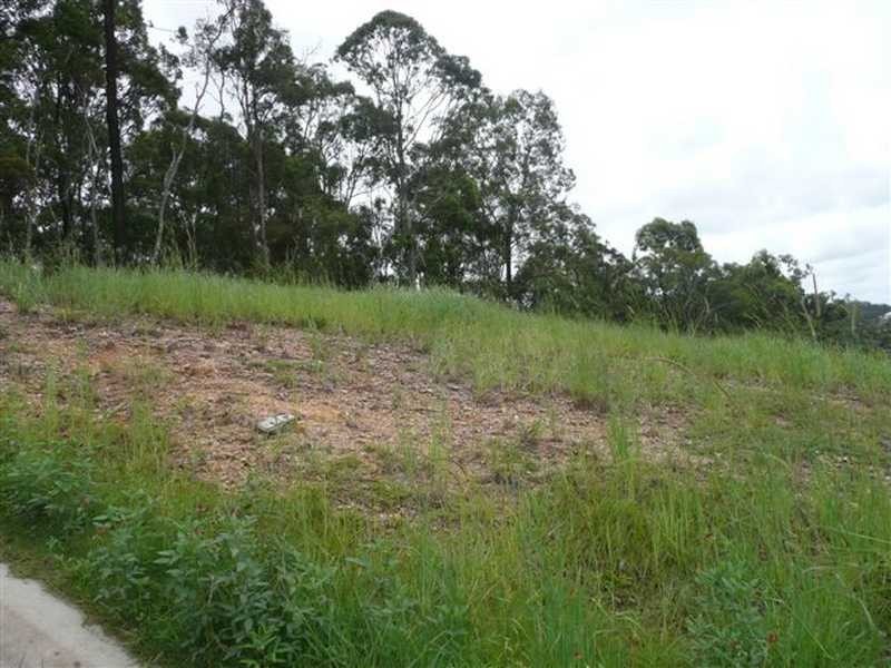 17 Currawong Crescent, Upper Coomera QLD 4209