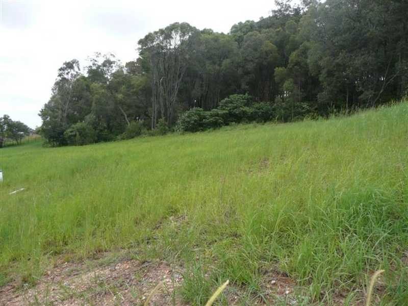 17 Currawong Crescent, Upper Coomera QLD 4209