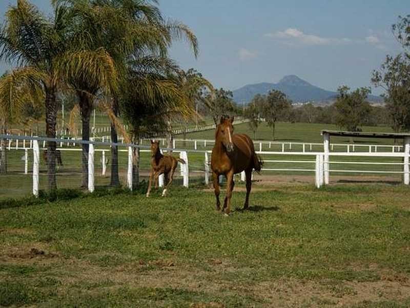 43 Summerlands Lane, Beaudesert QLD 4285