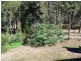 178 Stephens Place, Kooralbyn QLD 4285