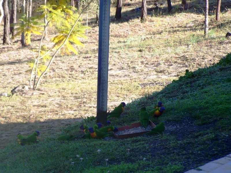 178 Stephens Place, Kooralbyn QLD 4285