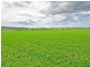 566 Oaky Creek Road, Beaudesert QLD 4285