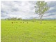 566 Oaky Creek Road, Beaudesert QLD 4285