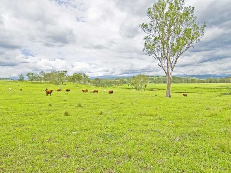 566 Oaky Creek Road, Beaudesert QLD 4285