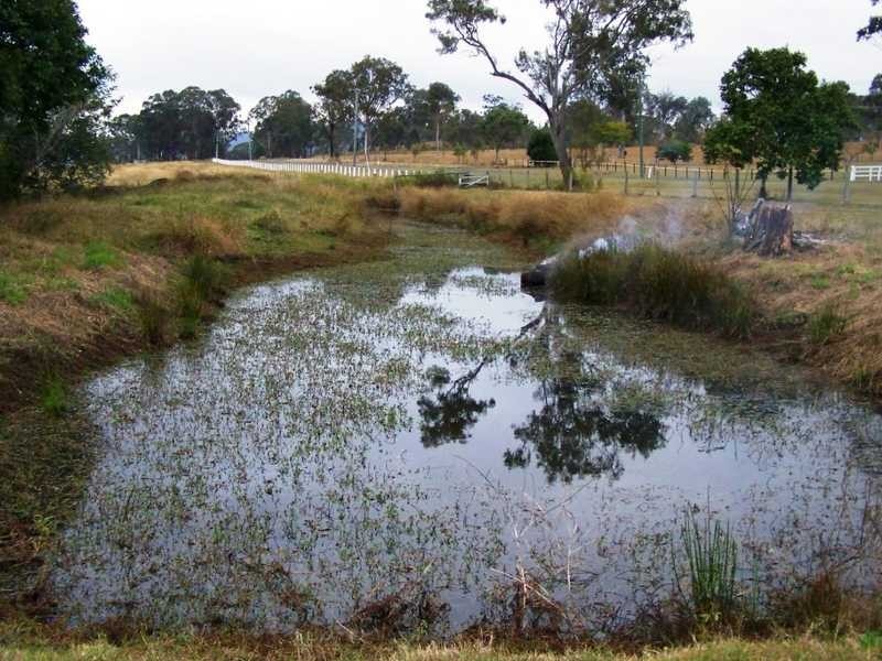 1043 Kerry Road, Beaudesert QLD 4285