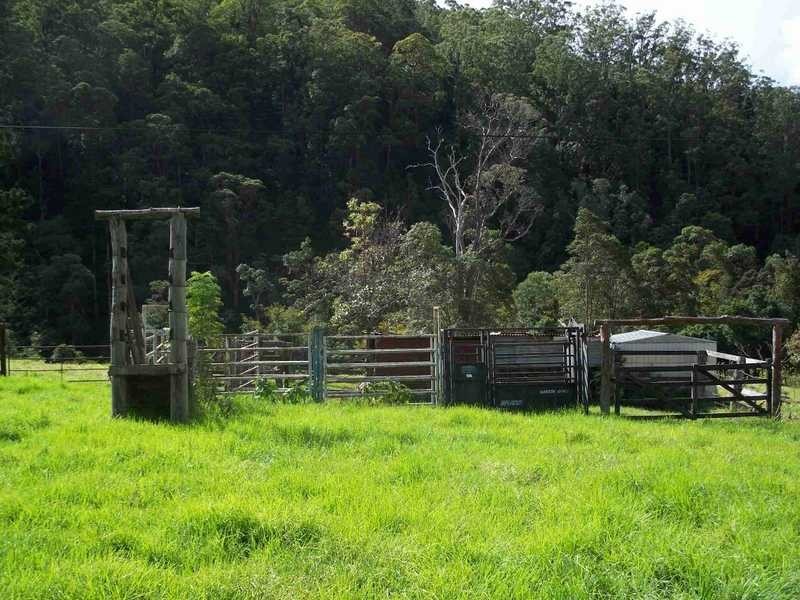 3196 Christmas Creek Road, Beaudesert QLD 4285