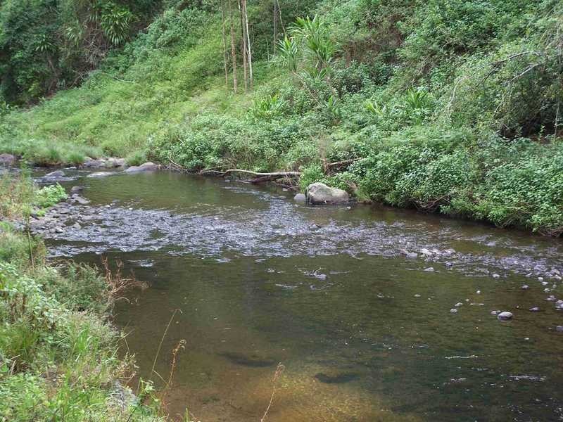 3196 Christmas Creek Road, Beaudesert QLD 4285