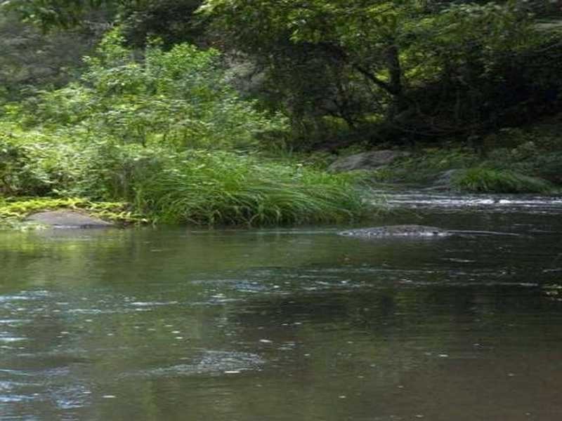 3196 Christmas Creek Road, Beaudesert QLD 4285